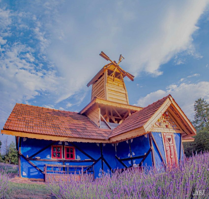 Arca lui Noe Arges