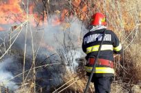 incendii de vegetațieSursă foto: ISU Giurgiu/ descriptiv