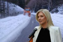Sursă foto: Colaj Ancheta/ PNL Arges si FB ALina Gorghiu