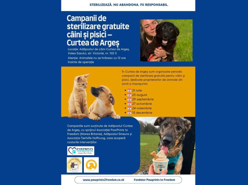 caini curtea de arges Sursă foto: FB Primăria Municipiului Curtea de Argeș