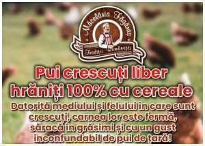 La Măcelăria Făgăraș găsiți pui crescuți liber, hrăniți 100% cu cereale! 25 Macelaria Fagarasa - pui de casa