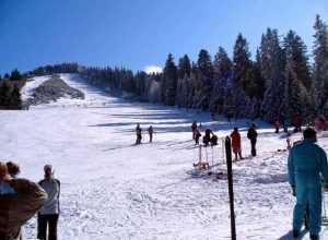 Molivisu - Informații despre cea mai veche pârtie pe hârtie din România!