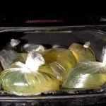 benzina la sac e1647265947227 - Isteria cozilor. Episodul „La pompa de benzină te poți duce și cu sacul!”