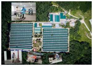 Adăpostul de câini Smeura face ANGAJĂRI 21 a46f8200409b8d00beddf2a81352c796 - Adăpostul de câini Smeura face ANGAJĂRI
