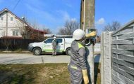 Distributie Oltenia