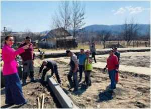 Lasconi lucrari din parc