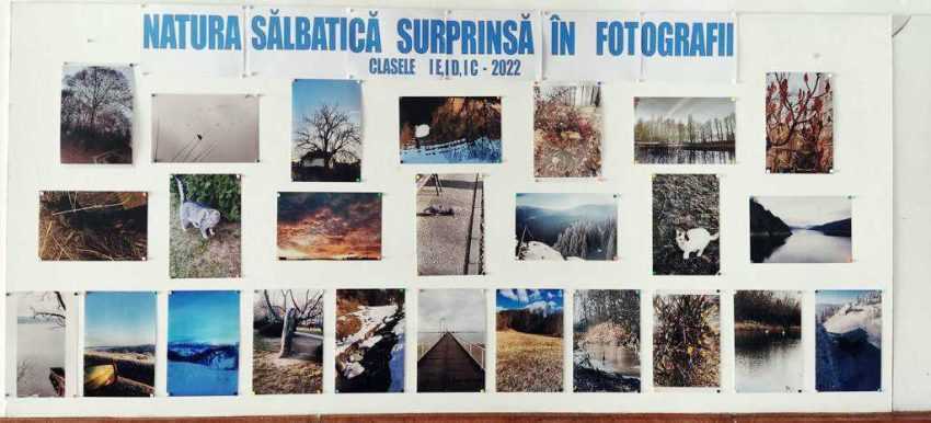 proiect palat natura