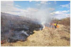 Incendiu la Câmpulung! Arde vegetația pe o suprafață de 10.000 mp 1 vegetația arde