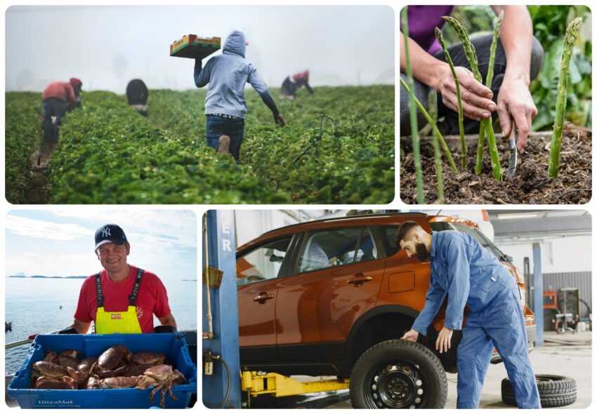 joburi in strainatate