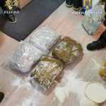 Duduie agricultura! Cultivatorii de canabis - tulburați temporar de 7 percheziții! 8 droguri 33 - Duduie agricultura! Cultivatorii de canabis - tulburați temporar de 7 percheziții!