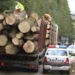 STOP transporturilor ilegale de lemn! Aplicația SUMAL a fost actualizată 10 Foto poliție transport lemne