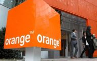 orange_91018500