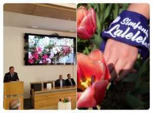Începe Simfonia Lalelelor! Explozie de culoare și distracție 30 simfonia-lalelelor2022