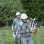 Distribuție-Oltenia