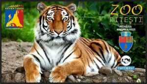 Grădina Zoologică va fi deschisă de Paști 1 zoo-pitesti
