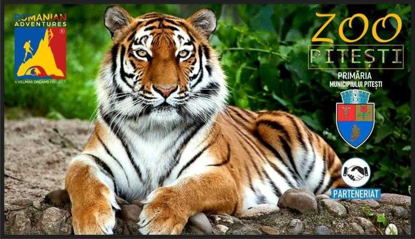 zoo-pitesti zoo-pitesti