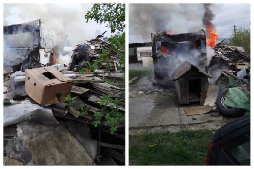 Untitled collage (1)