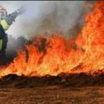 incendiu-vegetatie-isu-2