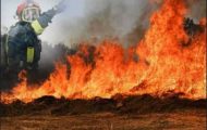 incendiu-vegetatie-isu-2