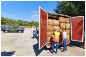 Peste 10 tone de tutun confiscate de inspectorii ANAF-Antifraudă 1 de anaf tutun