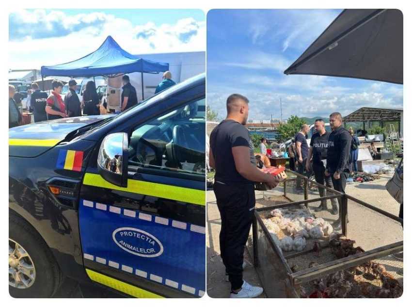 politia-animalelor politia-animalelor