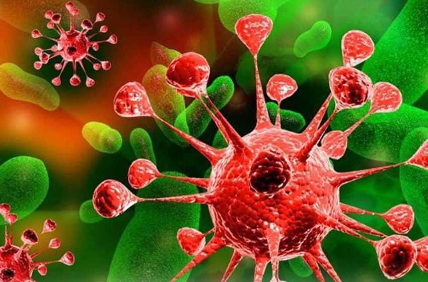 Americanii anunță că au descoperit un vaccin contra cancerului! 2 celule e1654025713731 - Americanii anunță că au descoperit un vaccin contra cancerului!