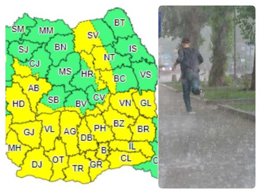 cod-galben cod-galben