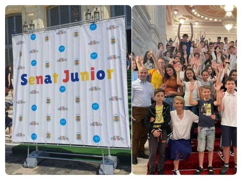 senat junior pnl - PNL sprijină dezvoltarea mediului antreprenorial