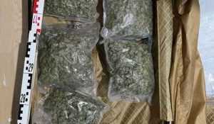 16 kilograme de cannabis descoperite în 2 percheziții domiciliare! 1 canabis Politia Romana