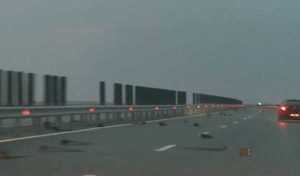 Cod portocaliu! Furtuna face ravagii pe autostrada Soarelui! 29 furtuna cod galben e1654445402599 - Cod portocaliu! Furtuna face ravagii pe autostrada Soarelui!