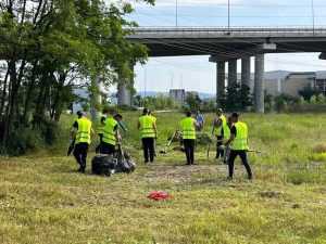 Vezi cum a decurs Ziua Mediului la Mioveni! 1 ziua mediului mioveni - Vezi cum a decurs Ziua Mediului la Mioveni!