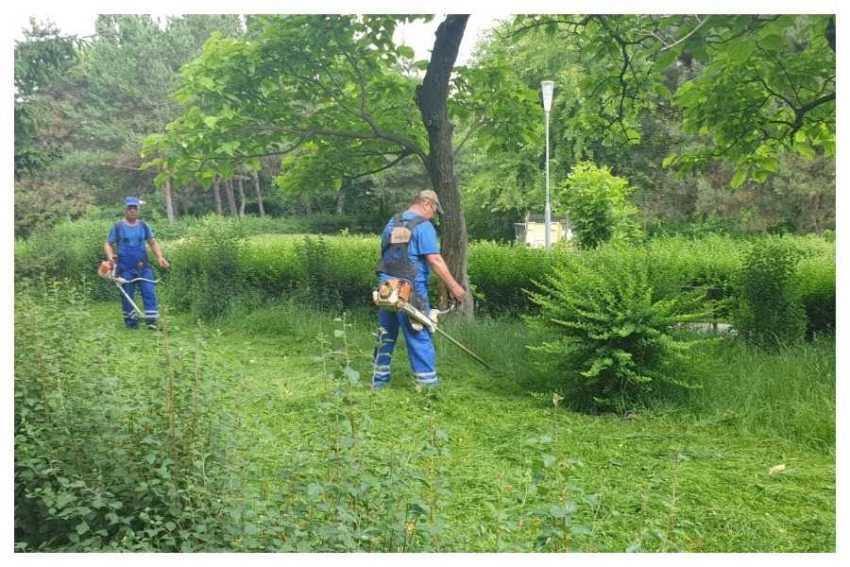 Pitești spatii verzi Pitești spatii verzi