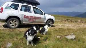 caini salvamont - Tabără națională de pregătire a câinilor! Salvamont Argeș este gazda