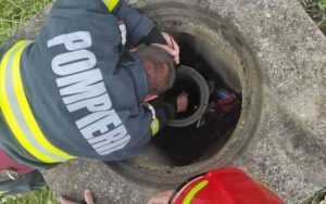 Pompieri cu suflet mare! Au salvat un ied dintr-o fântână 1 pompieri ied - Pompieri cu suflet mare! Au salvat un ied dintr-o fântână