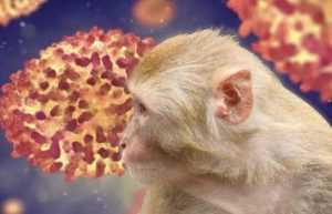 variola maimutei - Încă un bărbat din România- confirmat cu variola maimuței