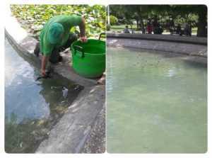 Au ajuns în Expo-Parc! Motiv de bucurie pentru cei mici 13 ratuste expo - Au ajuns în Expo-Parc! Motiv de bucurie pentru cei mici