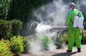 Activități de dezinsecție
