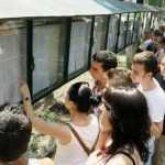 Bacalaureat 2026. Astăzi se afișează primele rezultate! 10 rezultate examen - Bacalaureat 2026. Astăzi se afișează primele rezultate!