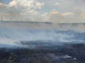 incendiu - Incendiu la un lan de grâu, pornit de la o țigară aruncată