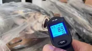 Alertă alimentară pe litoral! Pericol descoperit de ANPC 1 PESTE - Alertă alimentară pe litoral! Pericol descoperit de ANPC