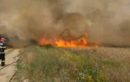 incendiu-vegetatie