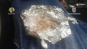 Tinerii s-au apucat de plantat! Ghivece cu ciuperci haluginogene! 3 md - Tinerii s-au apucat de plantat! Ghivece cu ciuperci haluginogene!