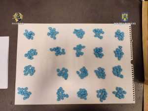 Tinerii s-au apucat de plantat! Ghivece cu ciuperci haluginogene! 4 mdma - Tinerii s-au apucat de plantat! Ghivece cu ciuperci haluginogene!