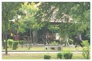 Tineri amendați de polițiștii locali în parcul Lunca Argeșului! 17 în parc