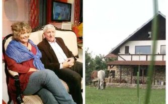 Mircea