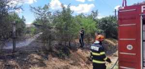 (VIDEO) Incendii de vegetație în Argeș! Pericol de propagare 1 incendiu2 - (VIDEO) Incendii de vegetație în Argeș! Pericol de propagare