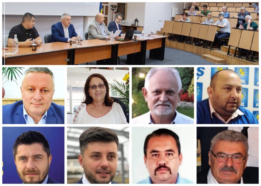 Cine sunt PATRONII din politica argeşeană 2 consilierii argeseni cu afaceri_2