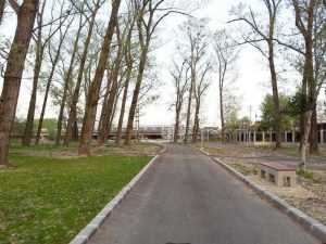 parc lunca-argseului