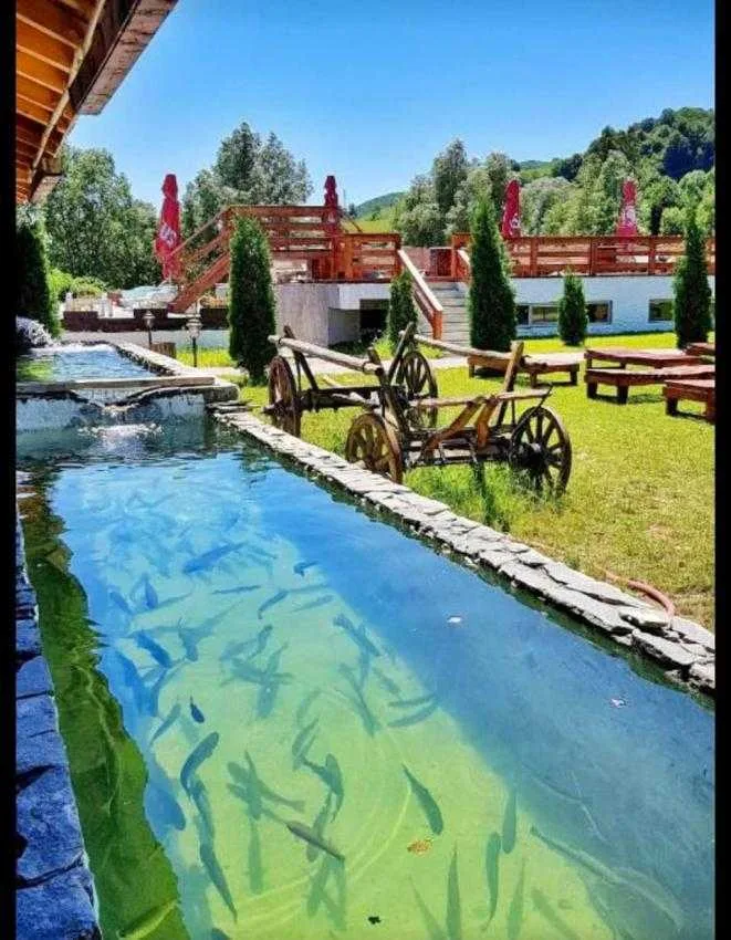 Complexul turistic “Casa Lăzăroiu”: Ospitalitatea este îndeletnicirea noastră” 9 Casa Lazaroiu