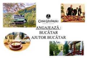 Untitled collage 25 - Complex Turistic Casa Lazaroiu își mărește echipa!